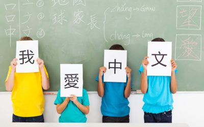 Primary 3 Chinese Class